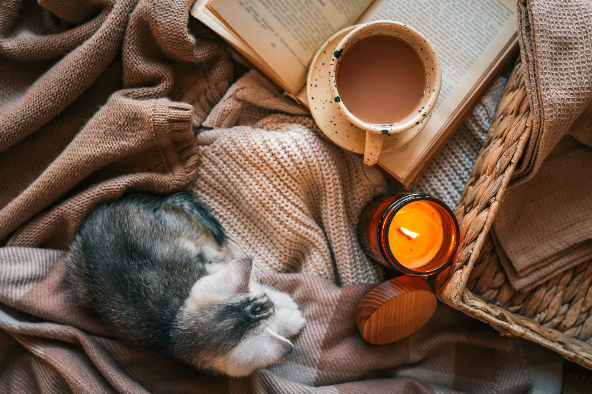 Flat lay with a cozy setup featuring a small kitten resting on soft knit blankets, an open book, a cup of cocoa or coffee, and a lit candle - warm, peaceful, and homey atmosphere